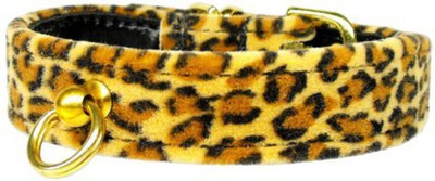 

Mirage Pet Products Dog Everyday Collar(, Multicolor