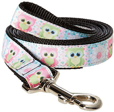 

Mirage Pet Products Dog Everyday Collar(, Multicolor