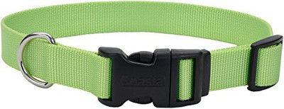 

Coastal Pet Dog Everyday Collar(, Multicolor
