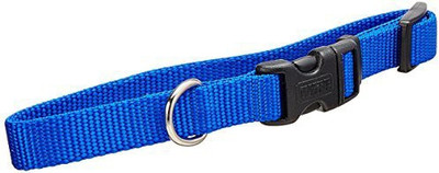 

Coastal Pet Dog Everyday Collar(, Multicolor
