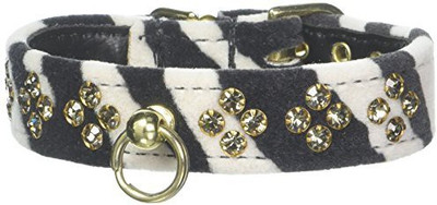 

Mirage Pet Products Dog Everyday Collar(, Multicolor