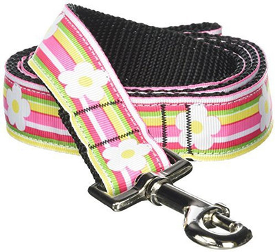 

Mirage Pet Products Dog Everyday Collar(, Multicolor