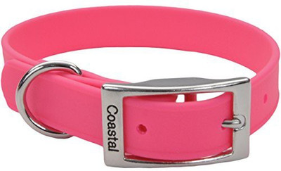 

Coastal Pet Dog Everyday Collar(, Multicolor