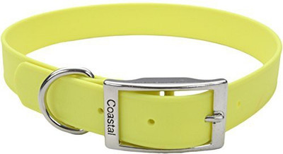 

Coastal Pet Dog Everyday Collar(, Multicolor