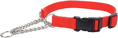 

Coastal Pet Dog Everyday Collar(, Multicolor