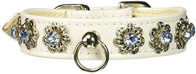 

Mirage Pet Products Dog Everyday Collar(, Multicolor