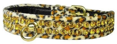 

Mirage Pet Products Dog Everyday Collar(, Multicolor