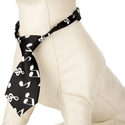

CUE CUE Pet Dog Everyday Collar(, Multicolor