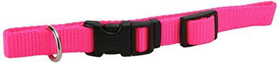 

Coastal Pet Dog Everyday Collar(, Pink