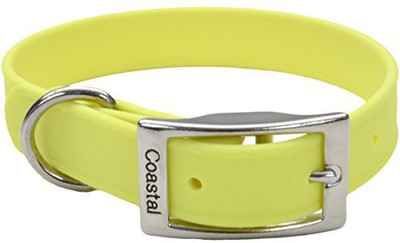 

Coastal Pet Dog Everyday Collar(, Multicolor