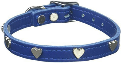 

Mirage Pet Products Dog Everyday Collar(, Multicolor