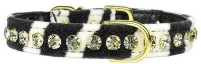 

Mirage Pet Products Dog Everyday Collar(, Multicolor