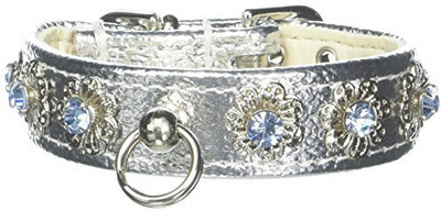 

Mirage Pet Products Dog Everyday Collar(, Multicolor