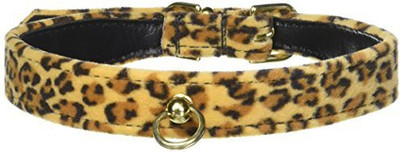 

Mirage Pet Products Dog Everyday Collar(, Multicolor