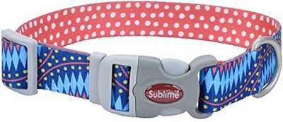 

Coastal Pet Dog Everyday Collar(, Multicolor