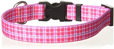 

Yellow Dog Design Dog Everyday Collar(, Multicolor