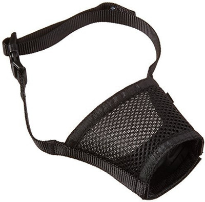 

PetSafe Dog Collar & Leash(, Multicolor