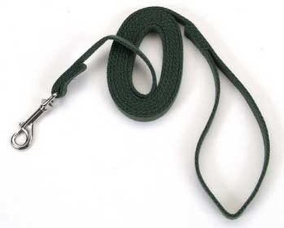 

Coastal Pet Dog Everyday Collar(, Green