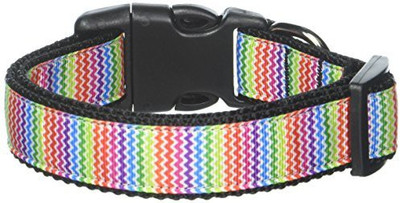

Mirage Pet Products Dog Everyday Collar(, Multicolor