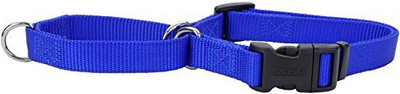 

Coastal Pet Dog Martingale Collar(, Multicolor