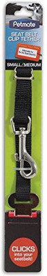 

Generic Dog Collar & Leash(, Multicolor
