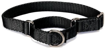 

PetSafe Dog Martingale Collar(, Multicolor