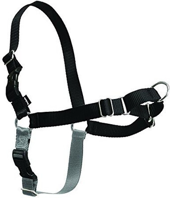 

PetSafe Dog Training Harness(, Multicolor