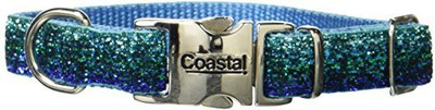 

Coastal Pet Dog Everyday Collar(, Multicolor