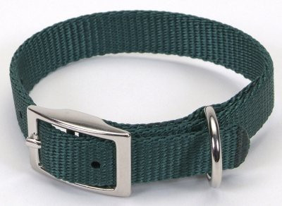 

Generic Dog Everyday Collar(, Multicolor