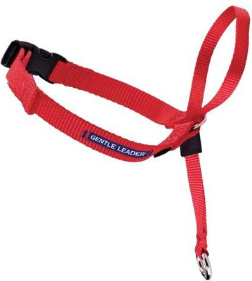 

PetSafe Dog Everyday Collar(, Red