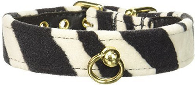 

Mirage Pet Products Dog Everyday Collar(, Multicolor