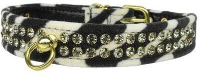 

Mirage Pet Products Dog Everyday Collar(, Multicolor