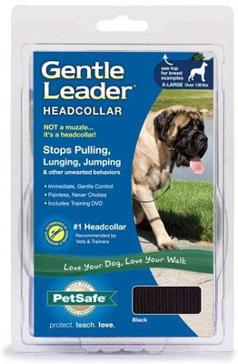 

PetSafe Dog Everyday Collar(, Multicolor