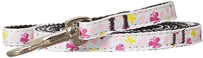 Mirage Pet Products Dog Collar & Leash(, White