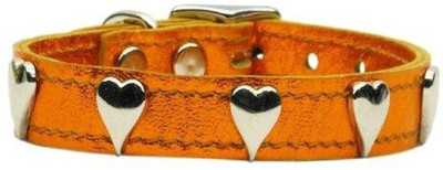 

Mirage Pet Products Dog Everyday Collar(, Multicolor