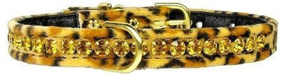

Mirage Pet Products Dog Everyday Collar(, Multicolor
