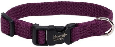 

Coastal Pet Dog Everyday Collar(, Multicolor