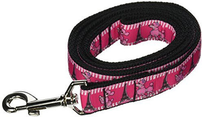

Mirage Pet Products Dog Everyday Collar(, Multicolor