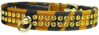 

Mirage Pet Products Dog Everyday Collar(, Multicolor