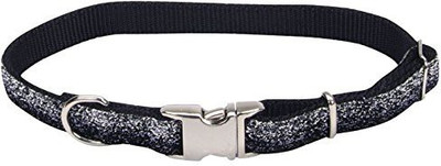 

Coastal Pet Dog Everyday Collar(, Multicolor