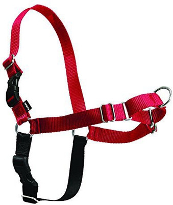 

PetSafe Dog Training Harness(, Multicolor