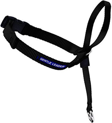 

PetSafe Dog Everyday Collar(, Multicolor