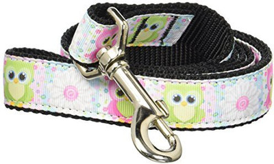 

Mirage Pet Products Dog Everyday Collar(, Multicolor