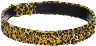 

Mirage Pet Products Dog Everyday Collar(, Multicolor