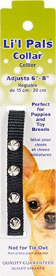 

Coastal Pet Dog Everyday Collar(, Multicolor