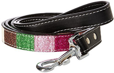 

Mirage Pet Products Dog Everyday Collar(, Multicolor
