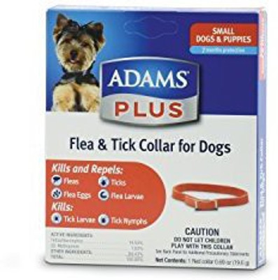

Generic Dog Everyday Collar(, Multicolor