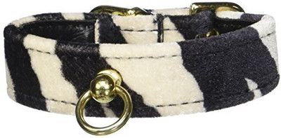 

Mirage Pet Products Dog Everyday Collar(, Multicolor