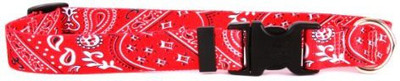 

Yellow Dog Design Dog Everyday Collar(, Multicolor