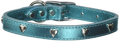 

Mirage Pet Products Dog Everyday Collar(, Multicolor